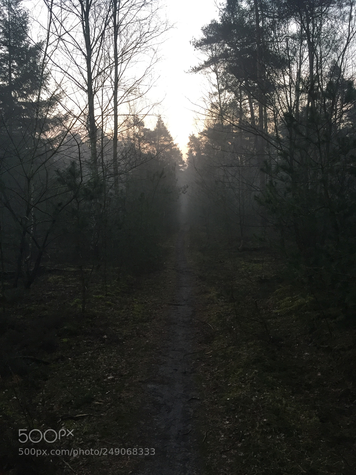 Apple iPhone 6 sample photo. To infinity and beyond photography