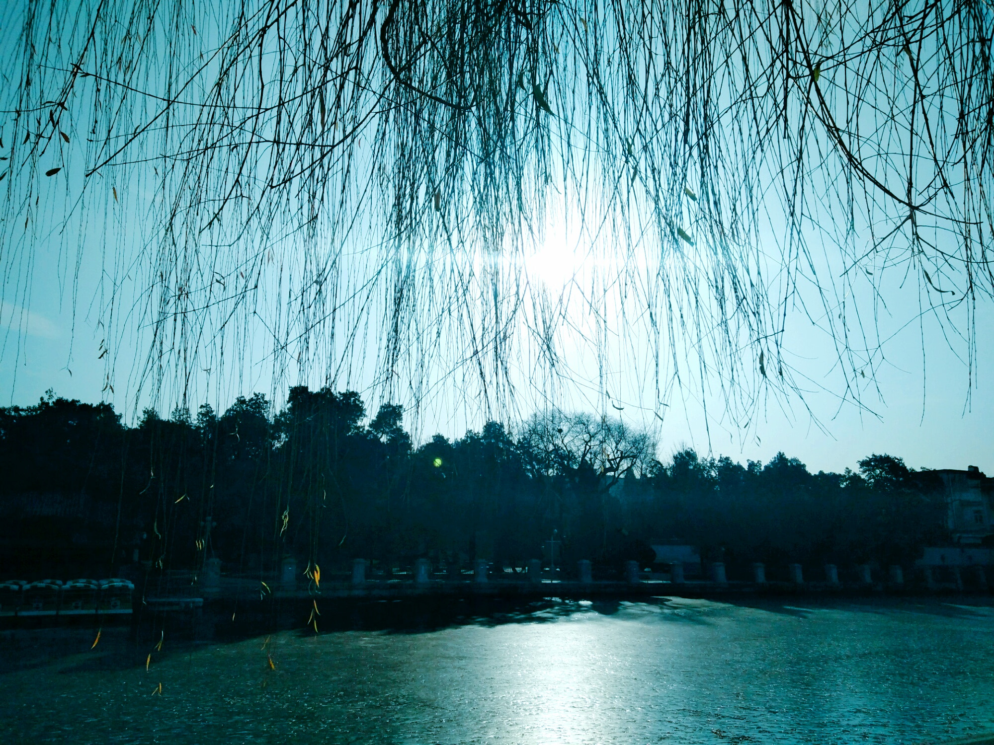 vivo X7 sample photo. 还是北京啦啦哈哈 photography