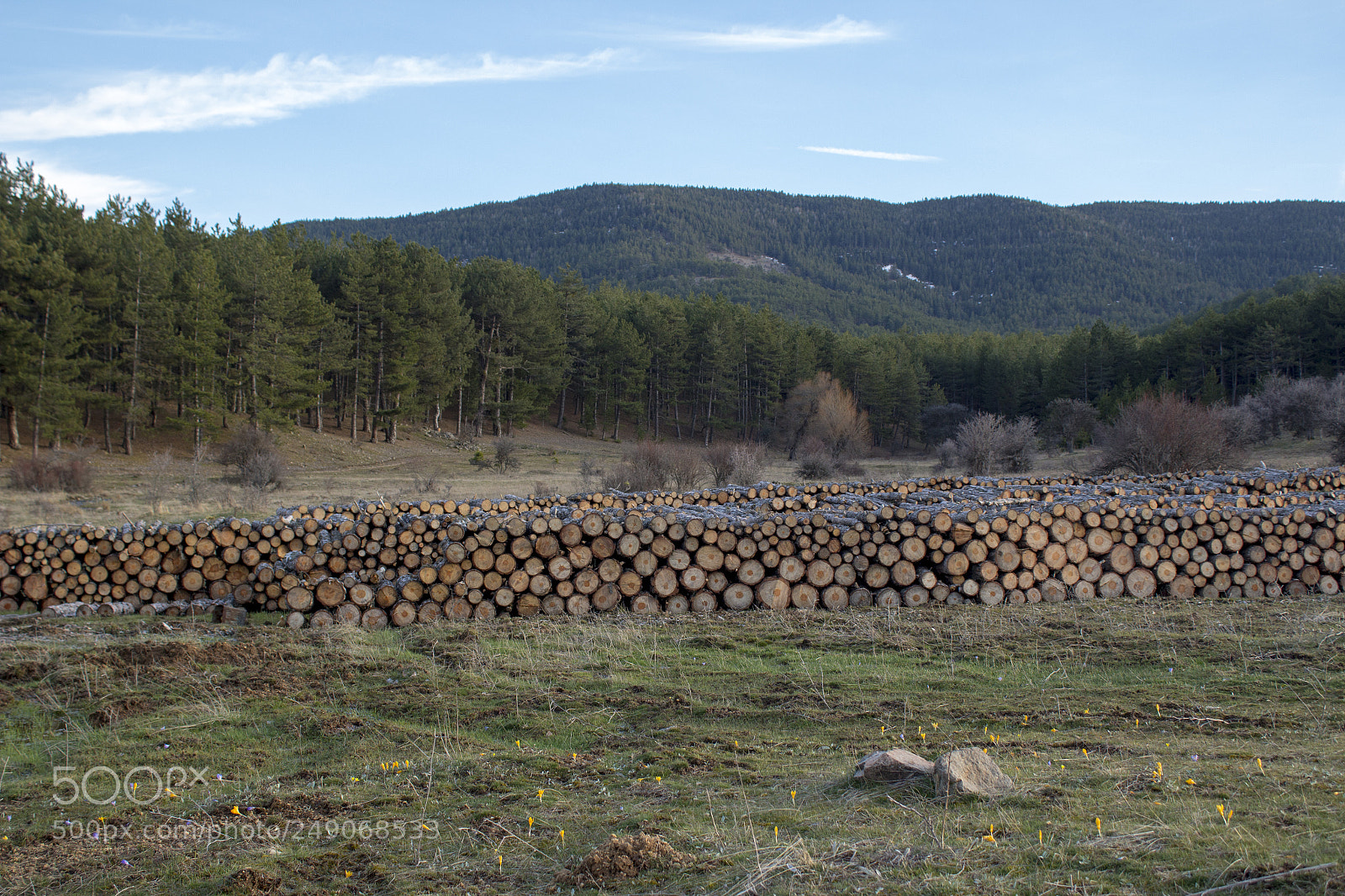 Canon EOS 650D (EOS Rebel T4i / EOS Kiss X6i) sample photo. Woods photography