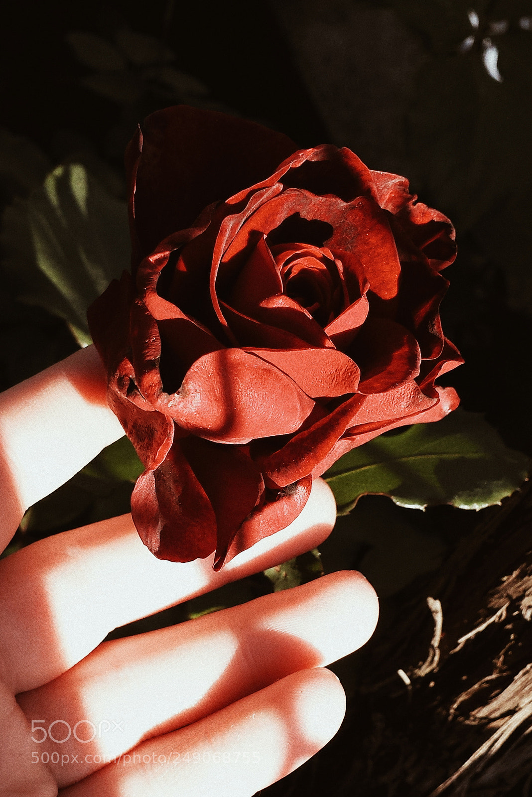 Samsung Galaxy S4 sample photo. Touching photography