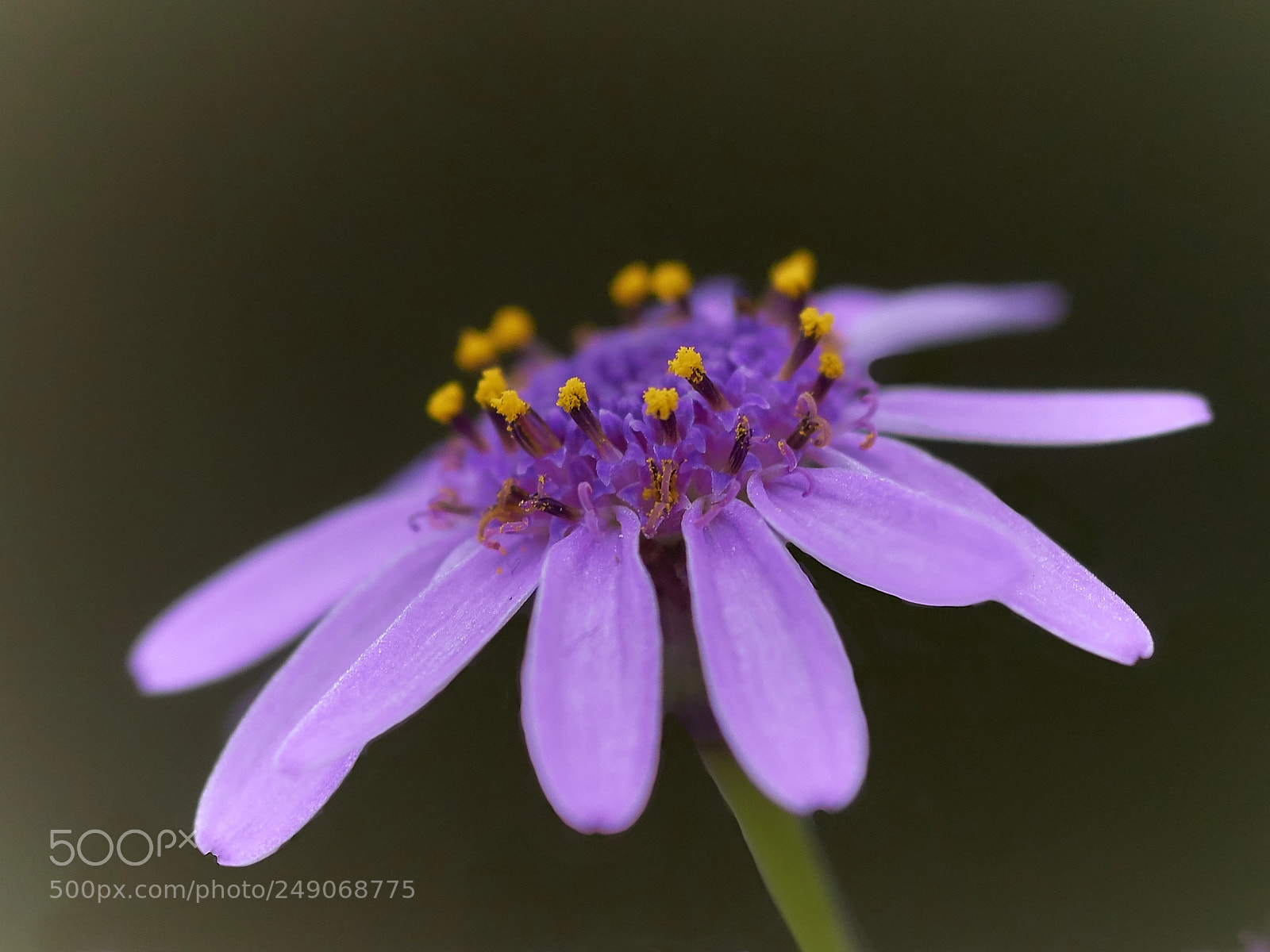 Sony ILCA-77M2 sample photo. ... photography
