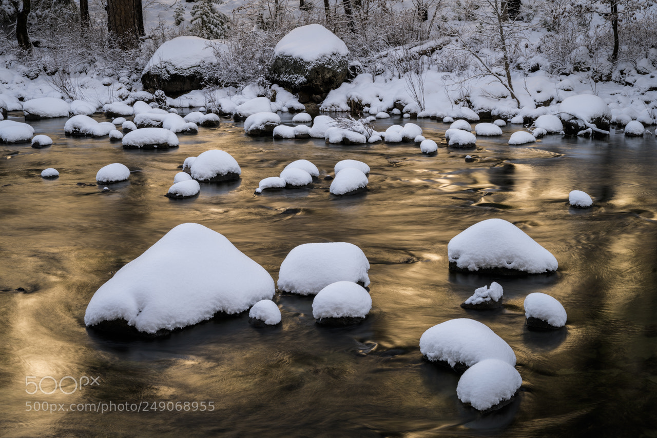 Sony a7R II sample photo. Liquid gold photography