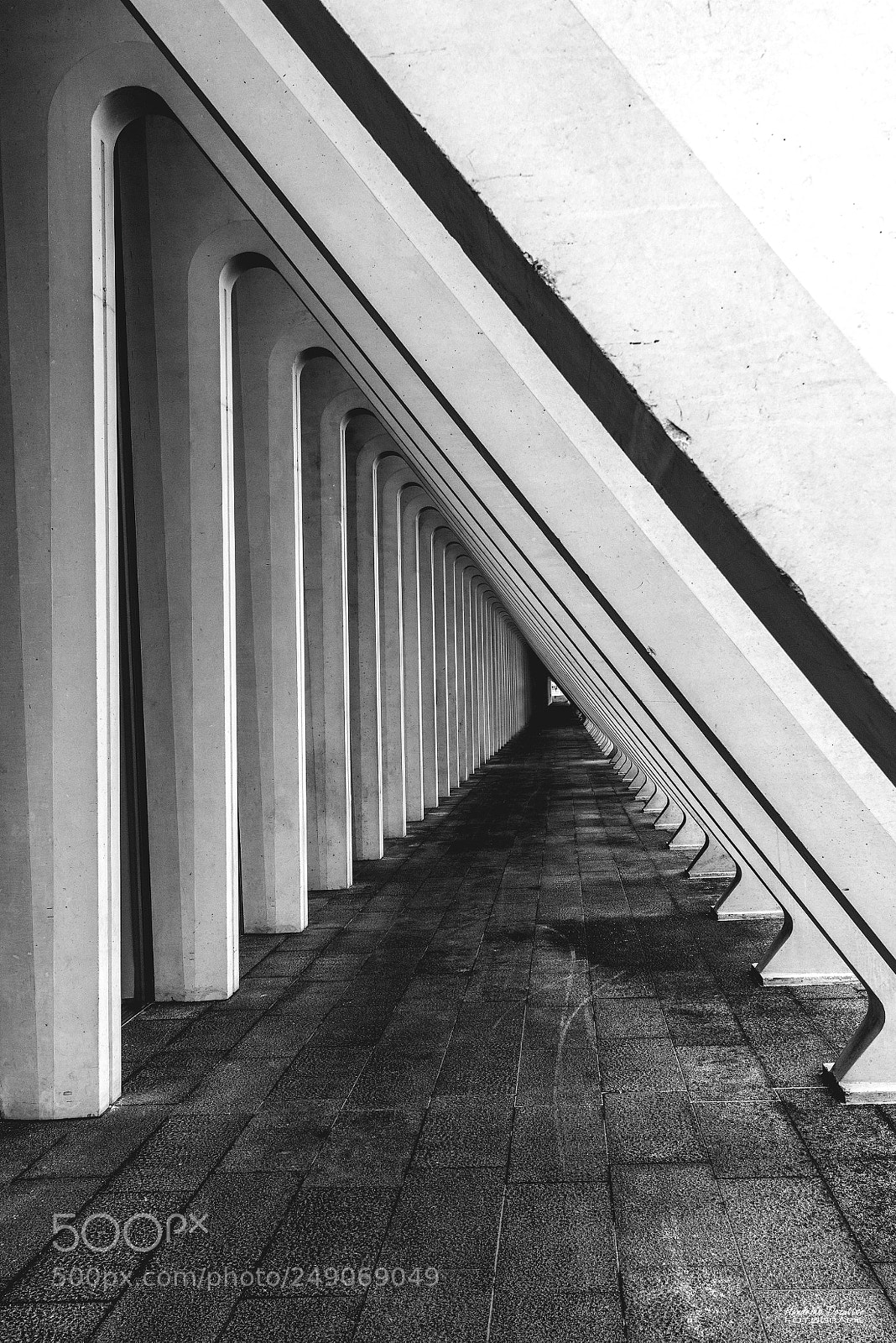 Nikon D800 sample photo. Repetition photography