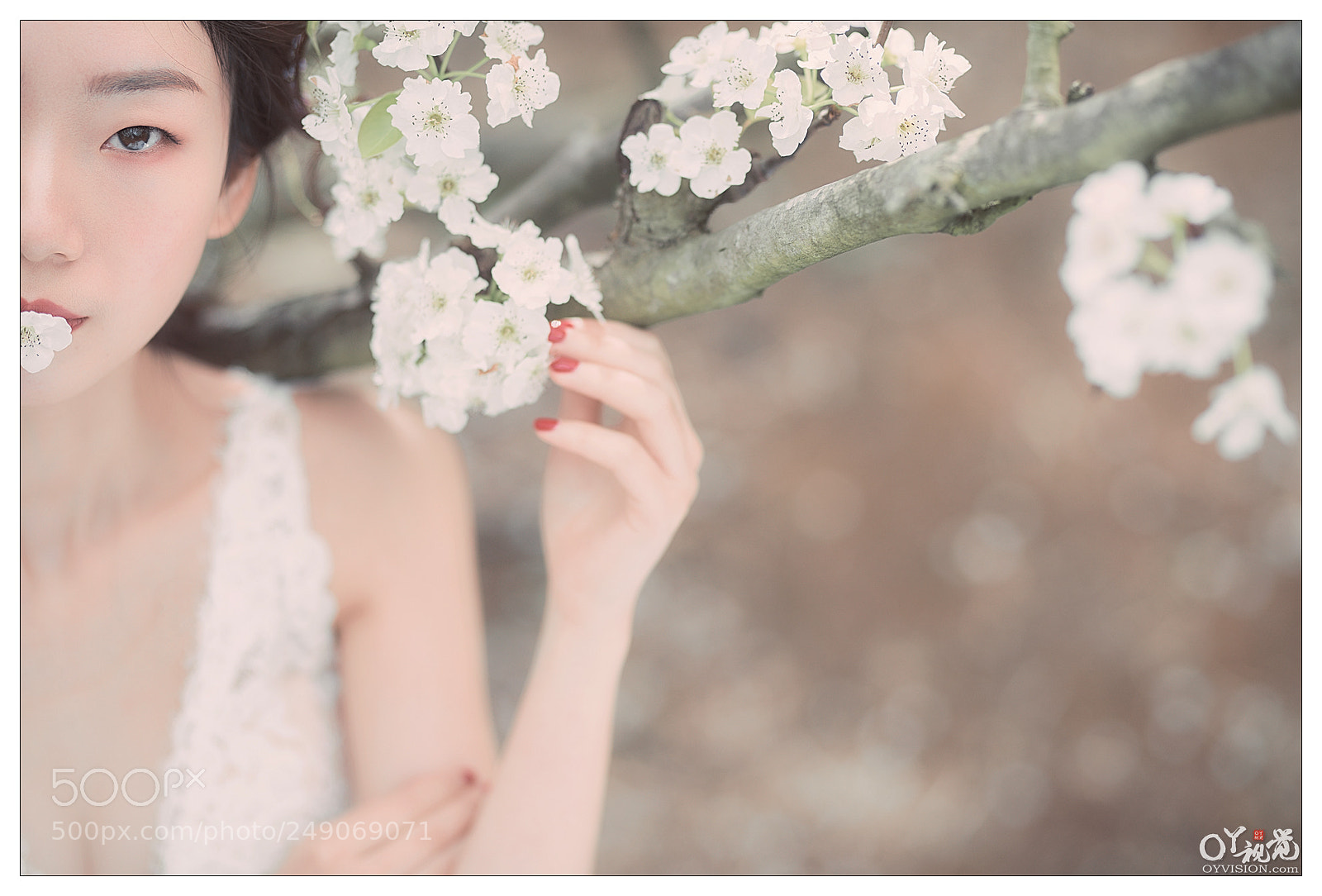Nikon D810 sample photo. Untitled photography