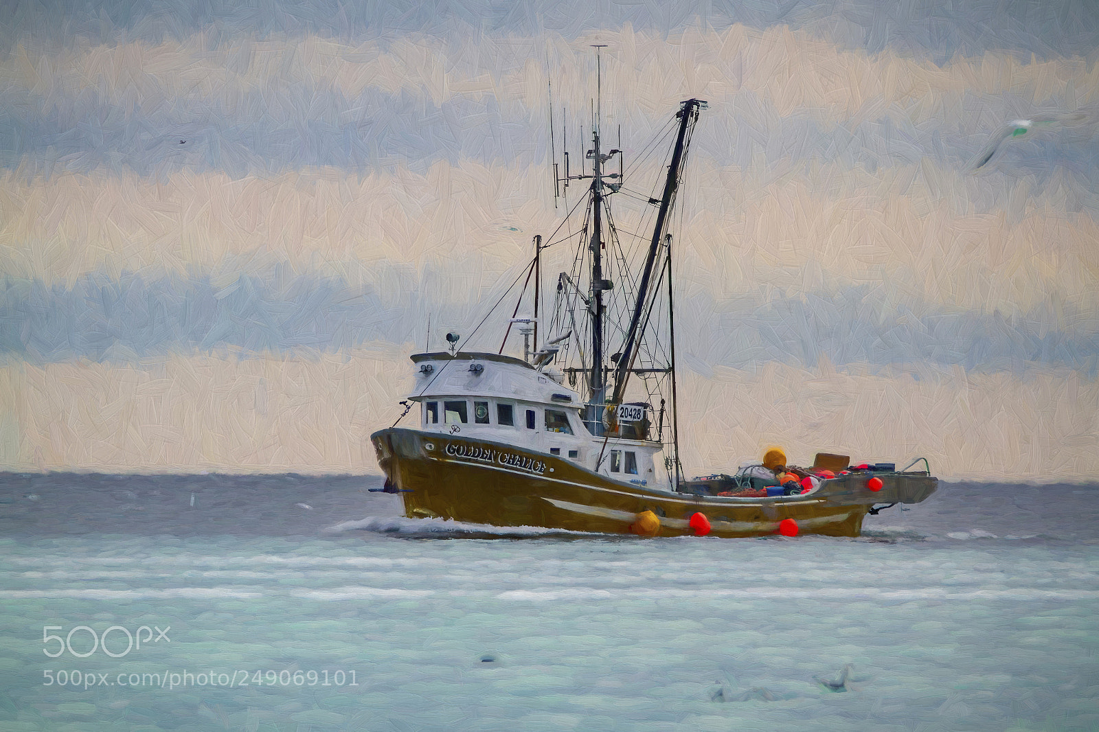 Canon EOS 7D sample photo. The shoals of herring photography