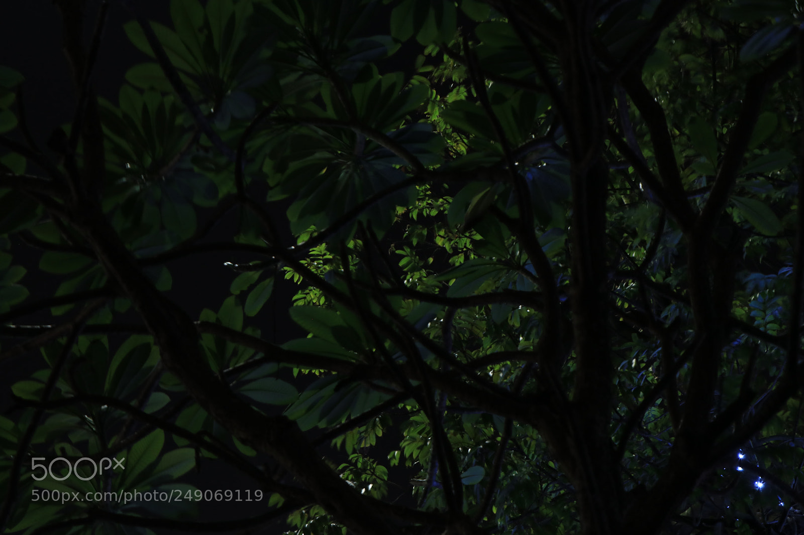 Canon EOS 80D sample photo. City light photography