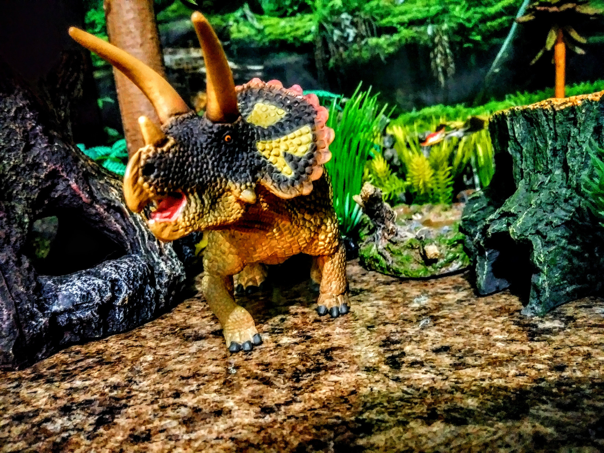 LG STYLO 3 PLUS sample photo. Triceratops photography