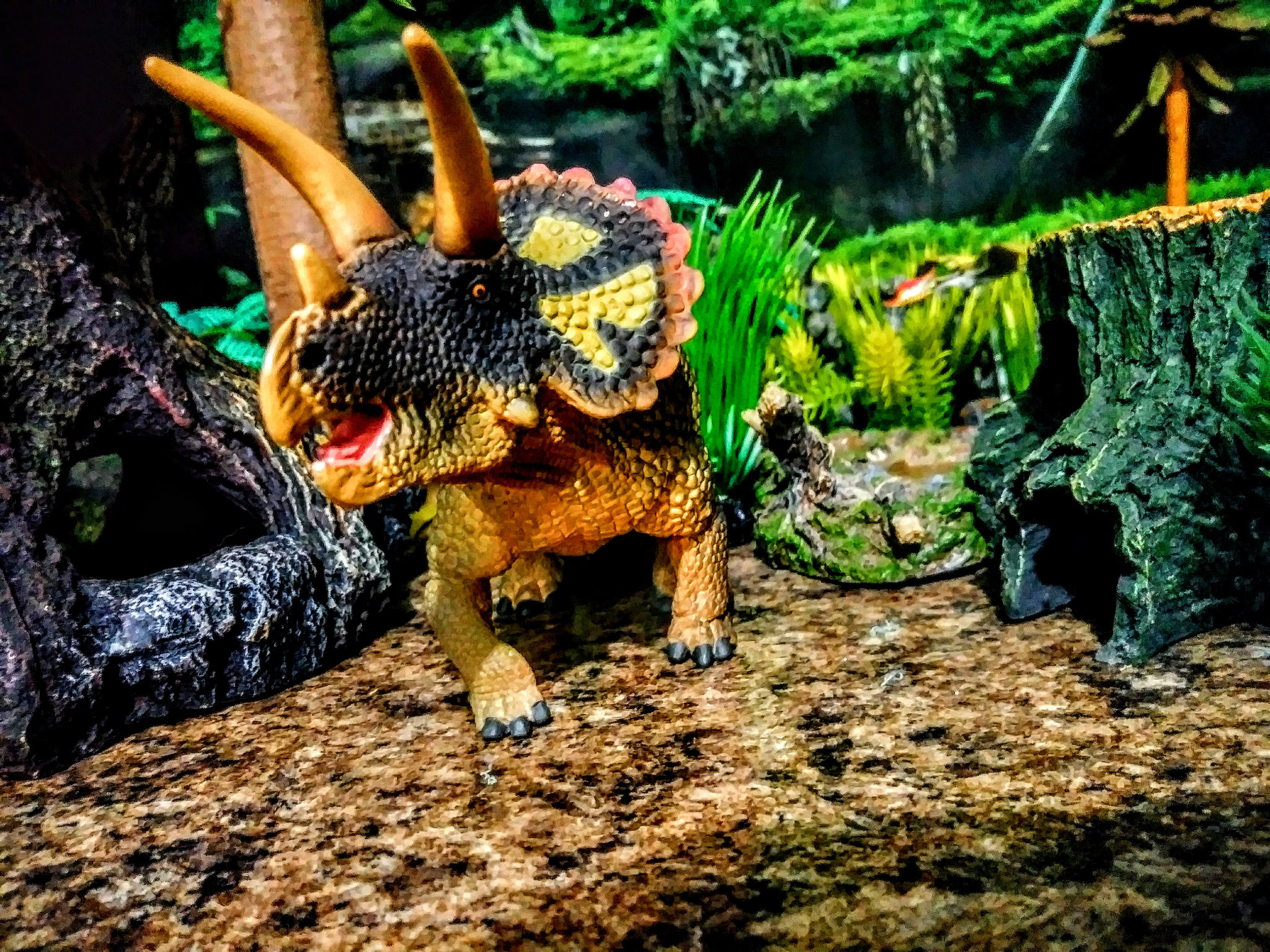 LG STYLO 3 PLUS sample photo. Triceratops photography