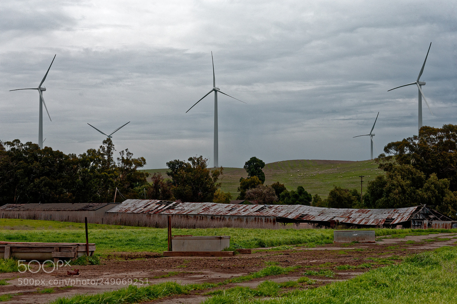 Canon EOS-1D X sample photo. Collinsville 56 photography