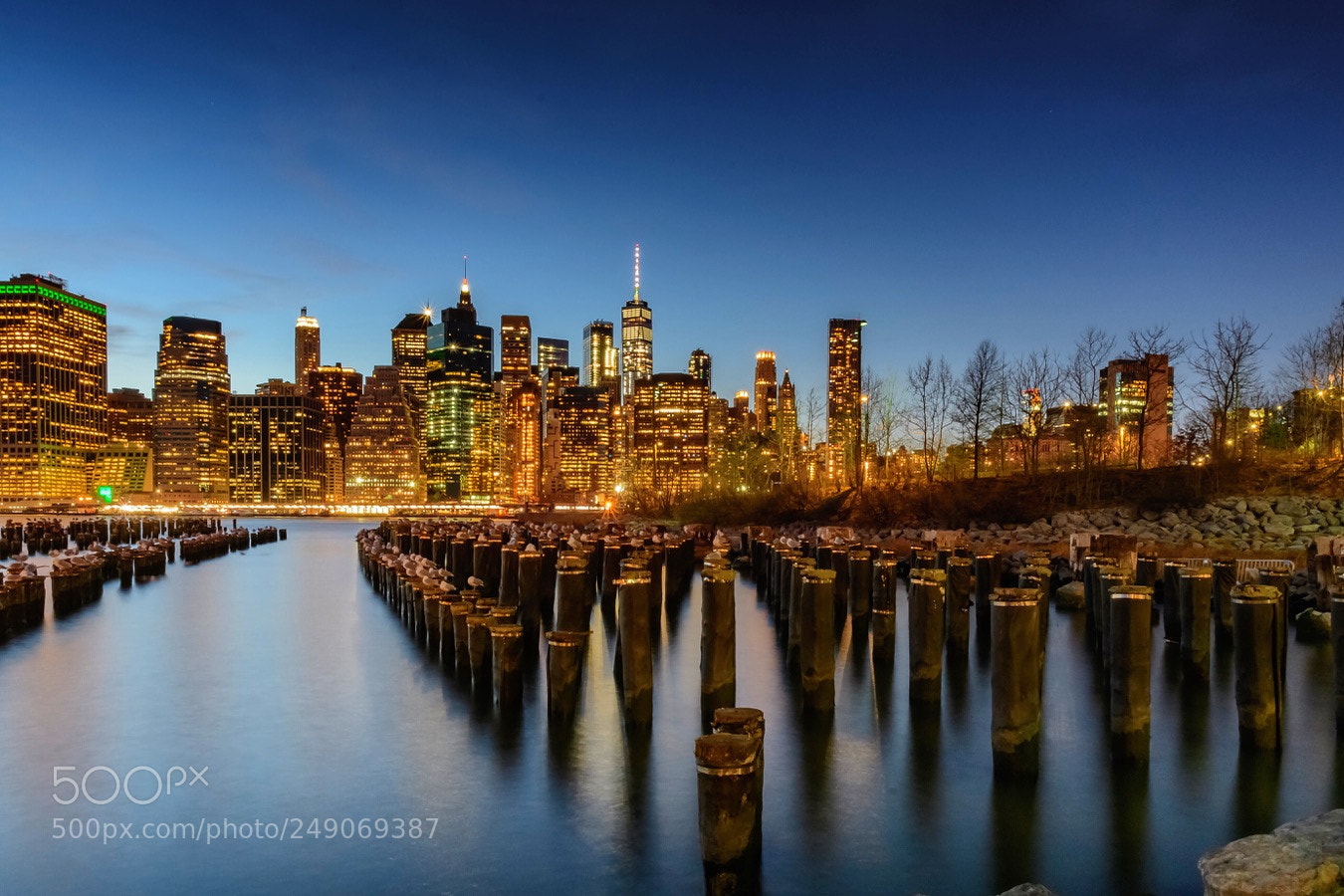 Nikon D500 sample photo. Brooklyn bridge park, nyc photography