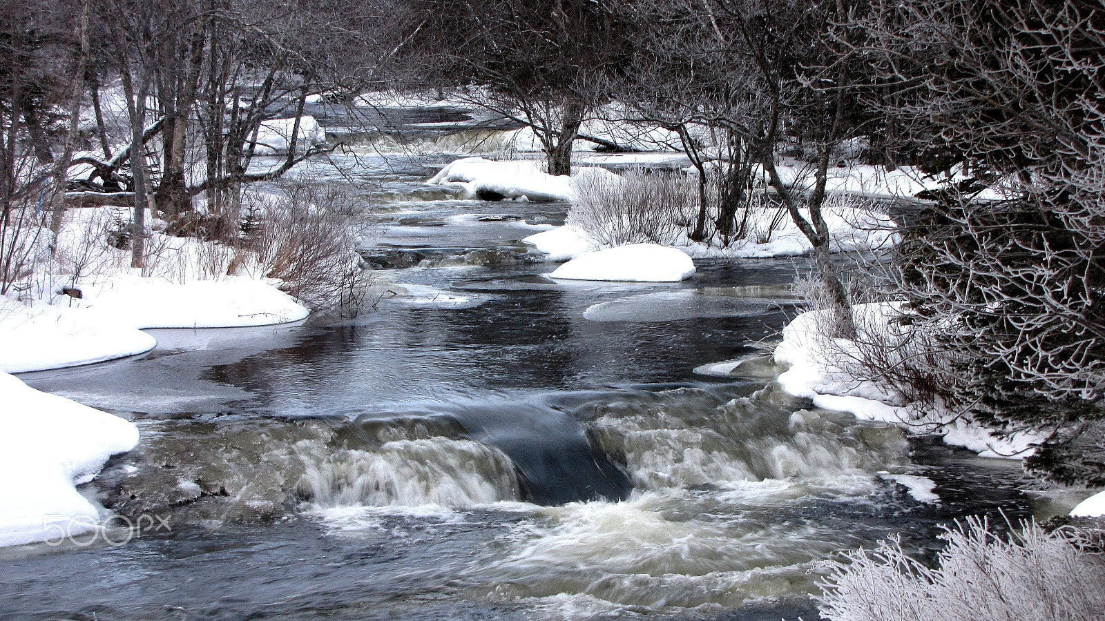 Canon PowerShot SX1 IS sample photo. Winter photography