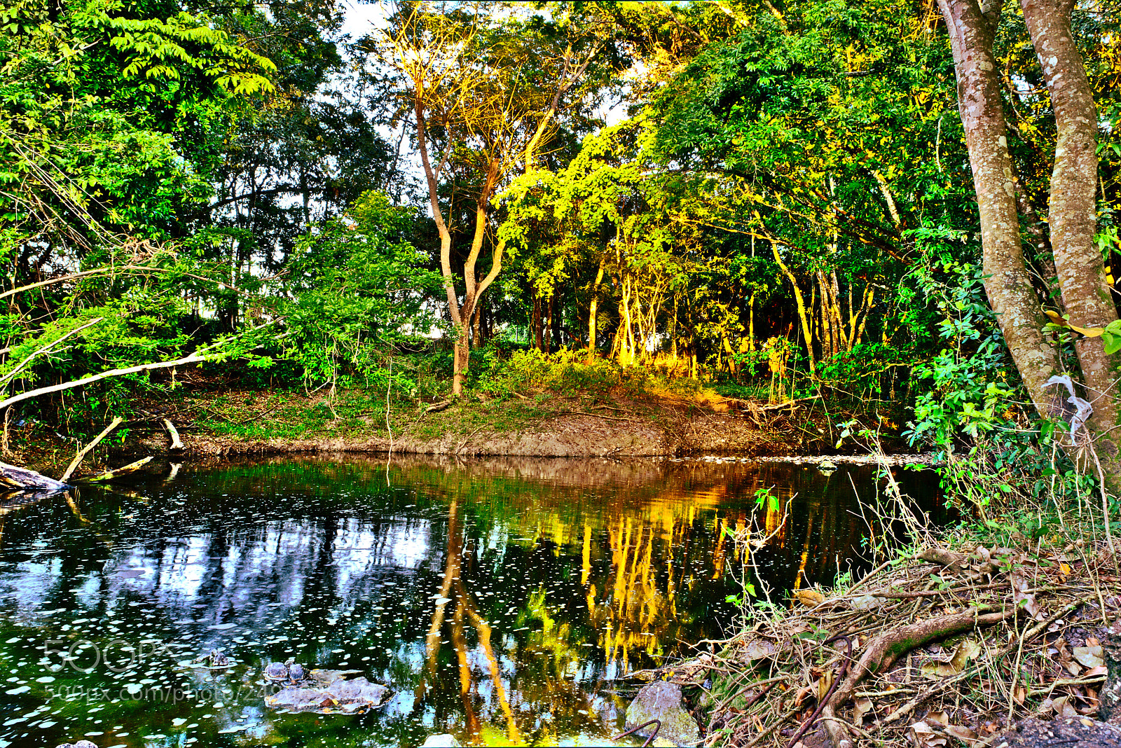 Nikon D7200 sample photo. Creek photography
