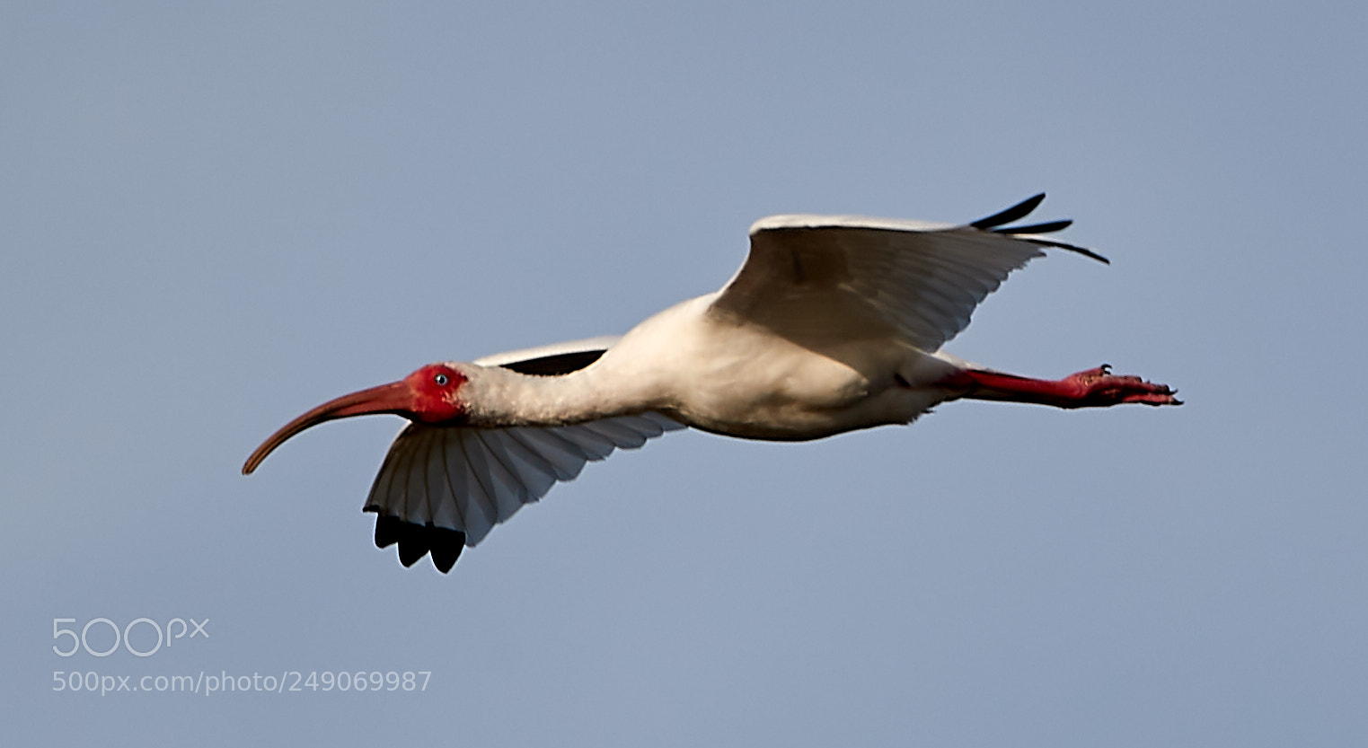 Canon EOS-1D X Mark II sample photo. 03-12-18-0007335.jpg photography