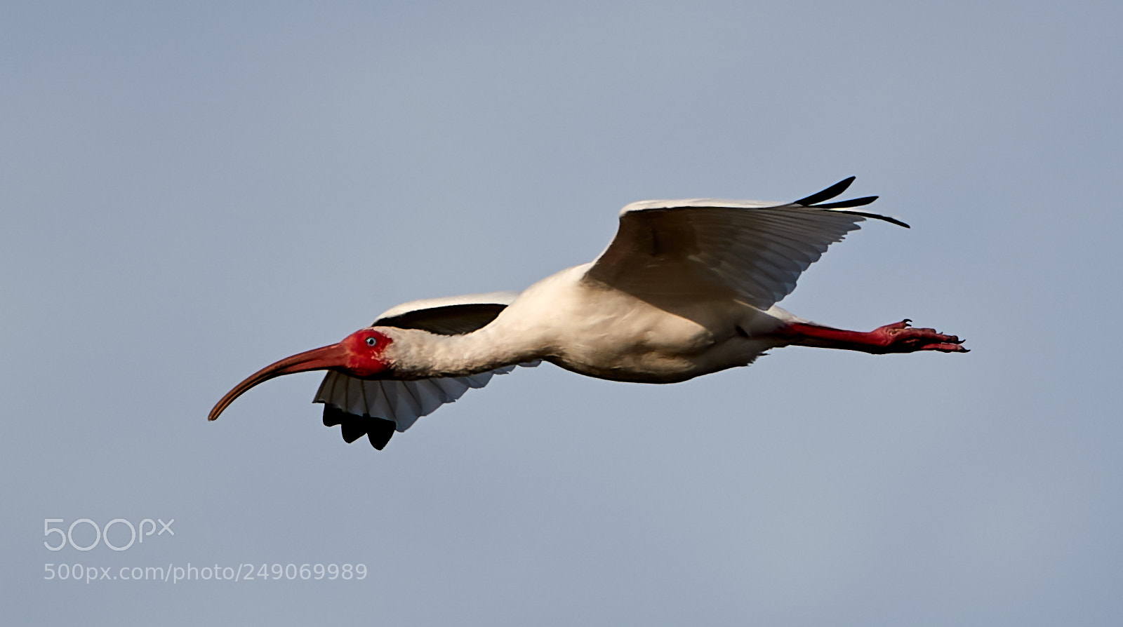 Canon EOS-1D X Mark II sample photo. 03-12-18-0007334.jpg photography