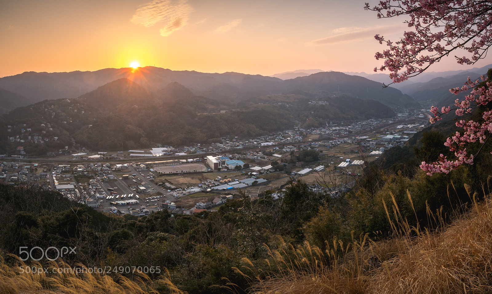 Sony a6500 sample photo. Town of sakura photography