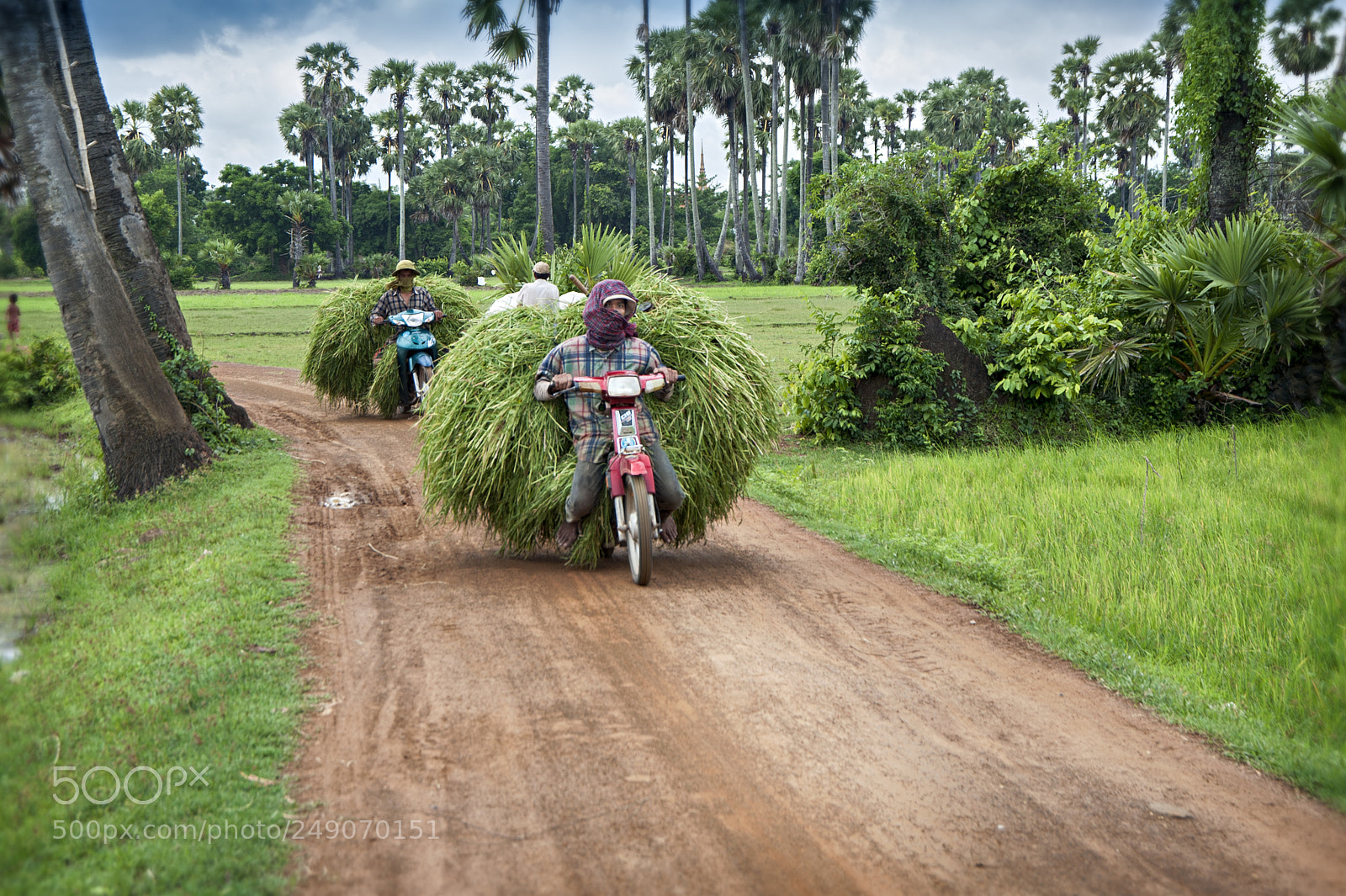 Nikon D700 sample photo. Kampong cham farmers / cambodia photography