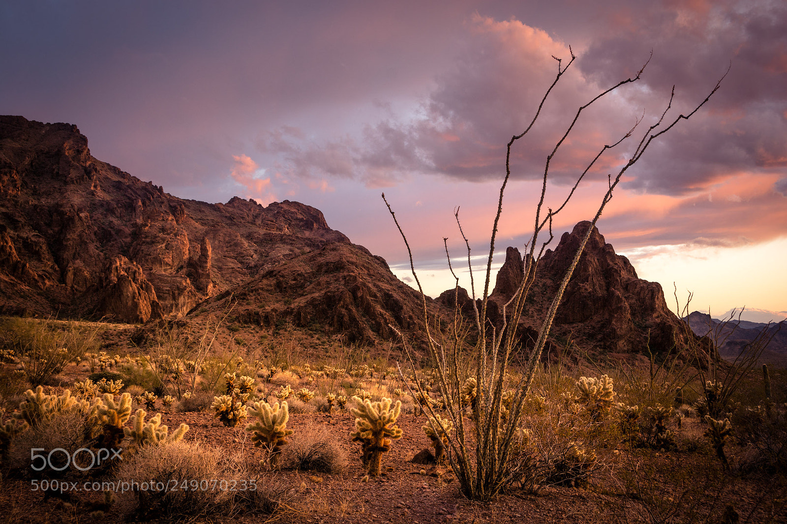Nikon D7100 sample photo. Still life in nature photography
