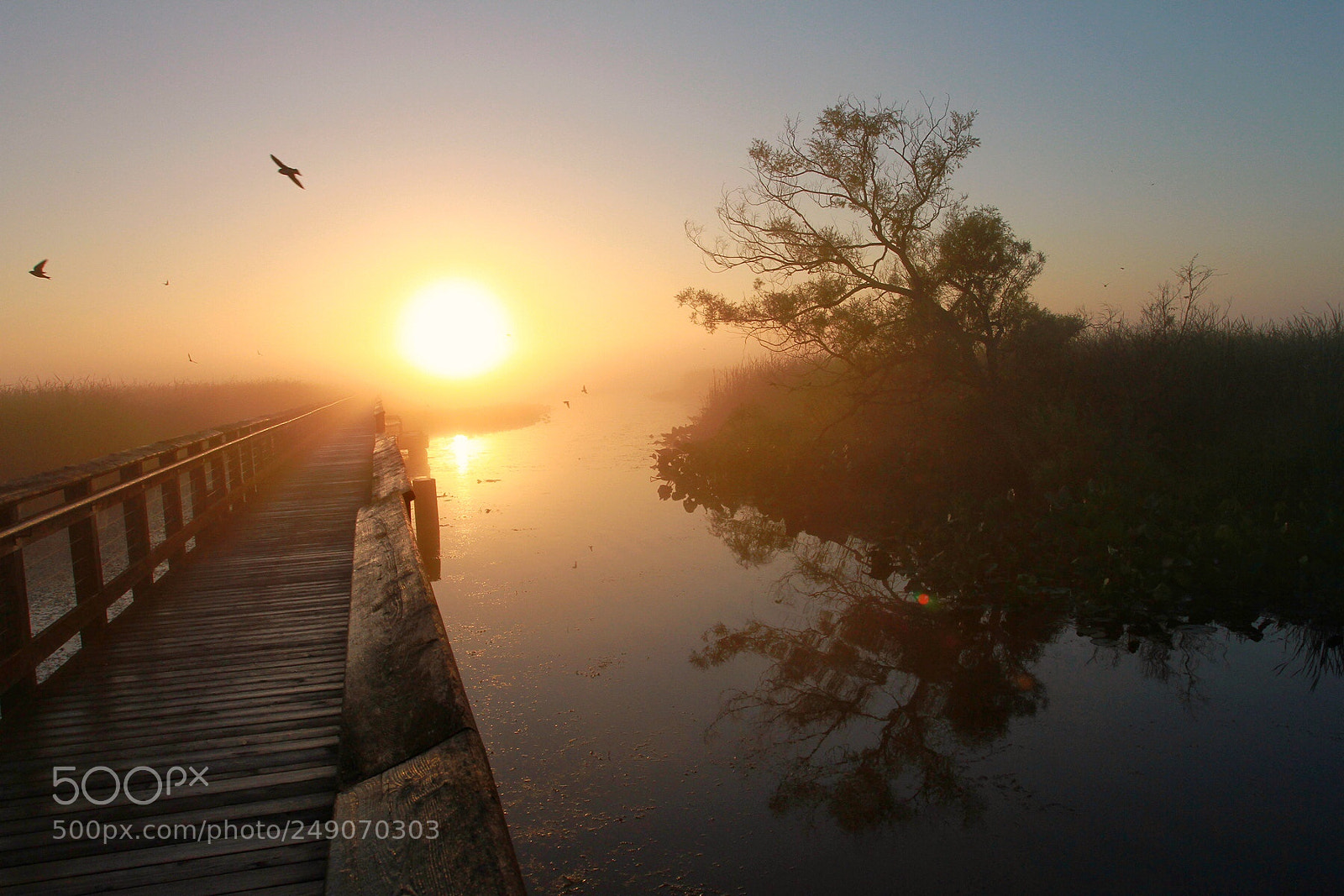 Canon EOS 7D sample photo. Sunrise at point pelee photography