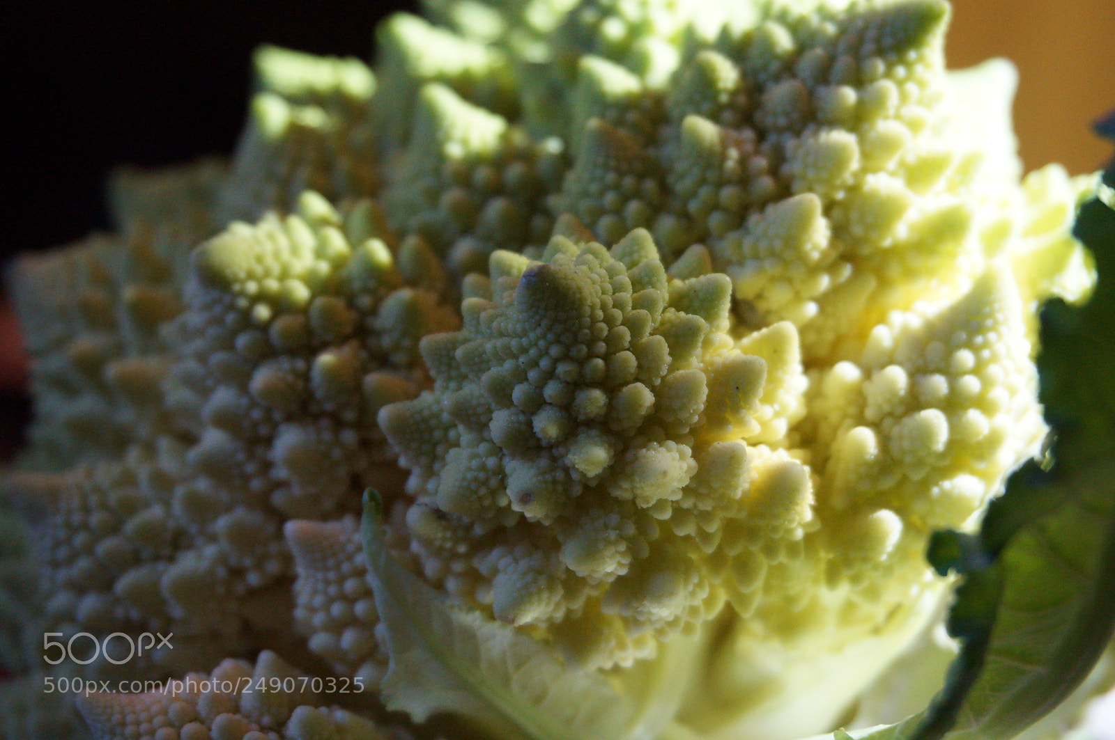 Sony Alpha NEX-F3 sample photo. Untitled photography
