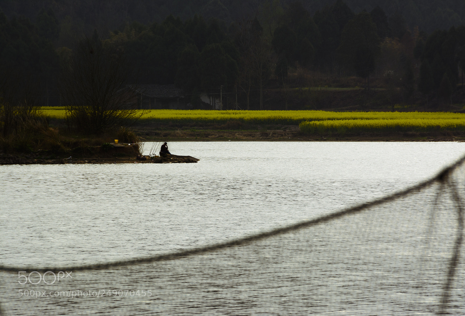 Nikon D7100 sample photo. Untitled photography