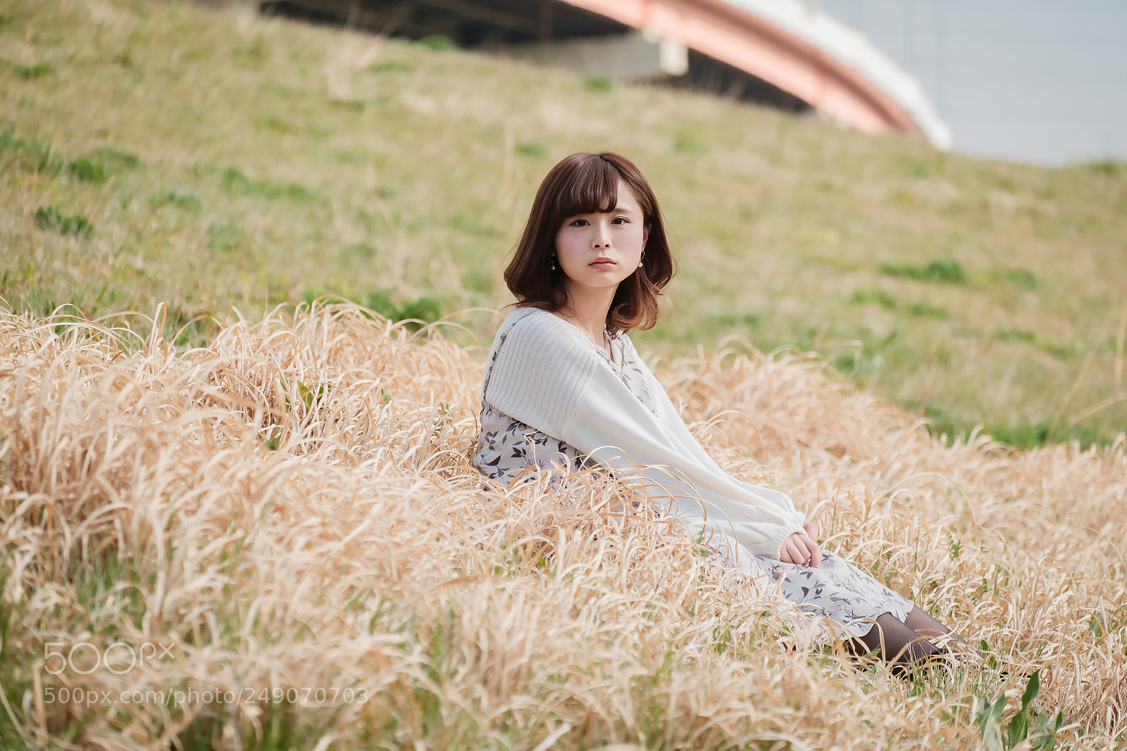 Fujifilm X-T2 sample photo. Untitled photography