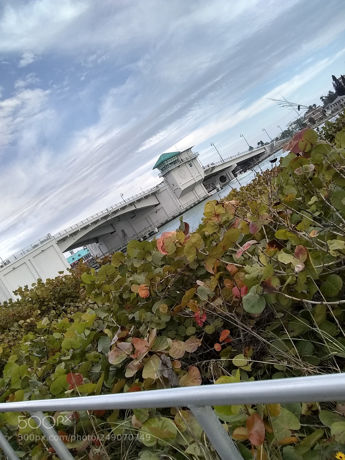 Motorola Moto E4 sample photo. Untitled photography