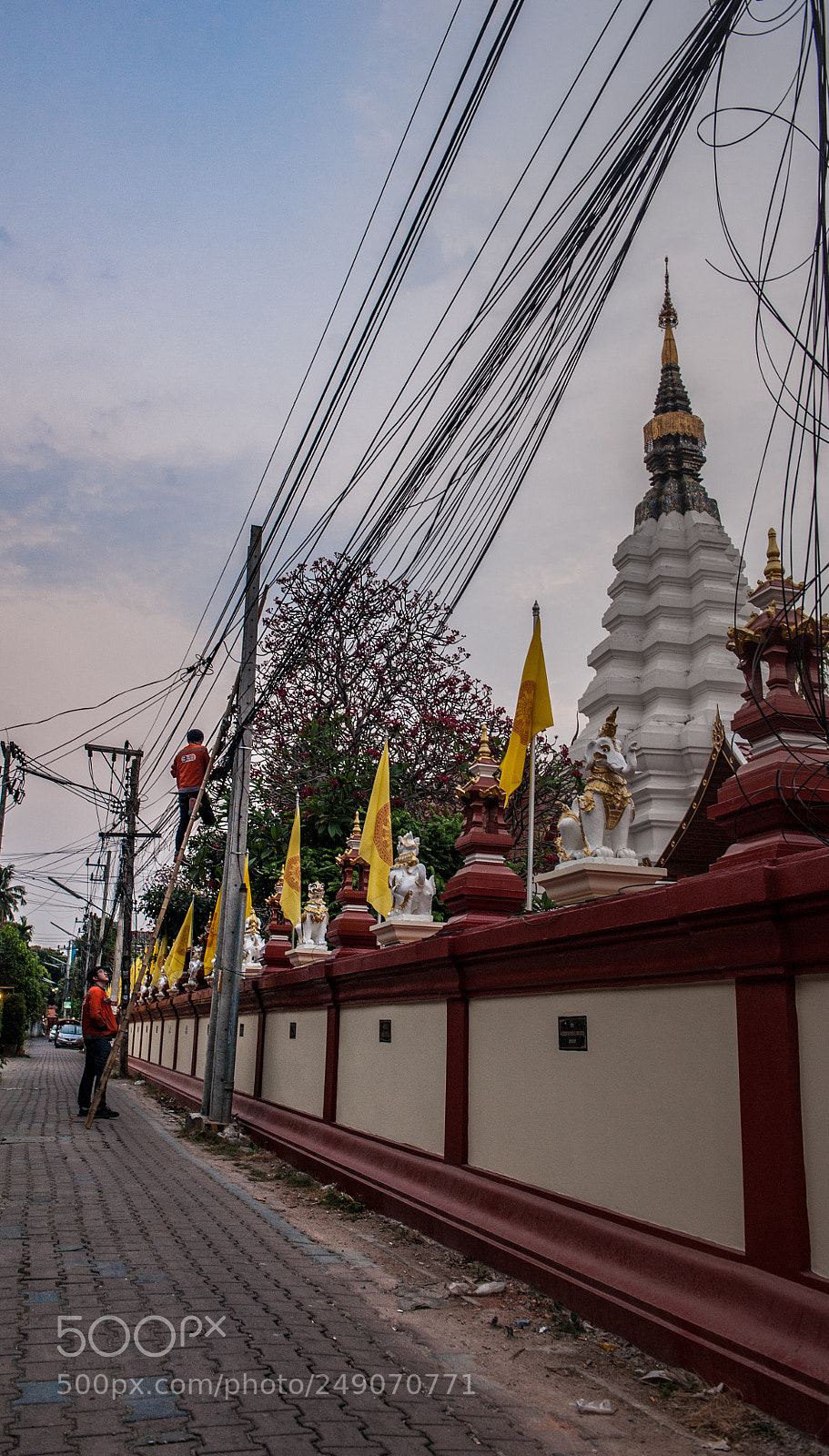 Nikon D700 sample photo. Fixing a mess photography