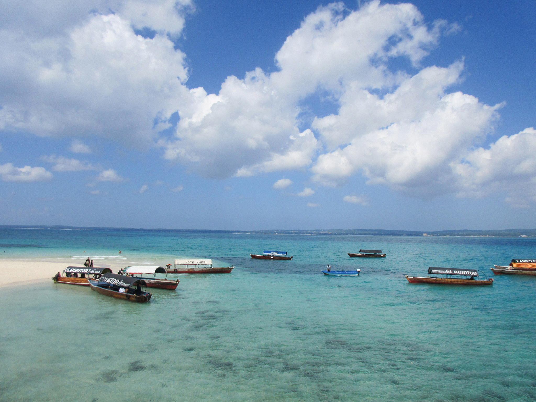 Canon PowerShot ELPH 340 HS (IXUS 265 HS / IXY 630) sample photo. Zanzibar safari photography
