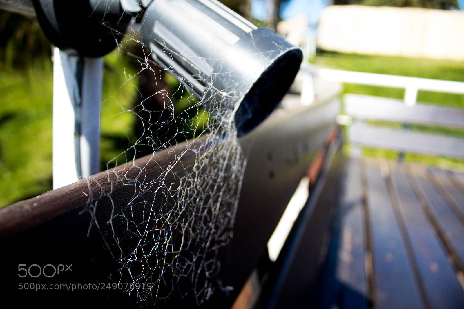 Canon EOS 1300D (EOS Rebel T6 / EOS Kiss X80) sample photo. Telaraña/ spiderweb photography