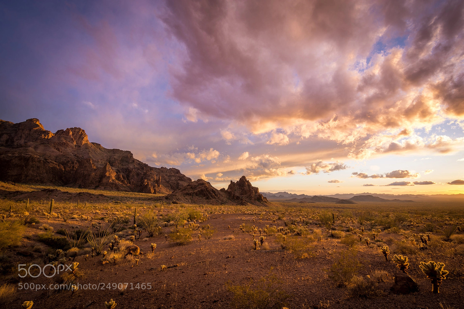Nikon D7100 sample photo. Wide open spaces photography