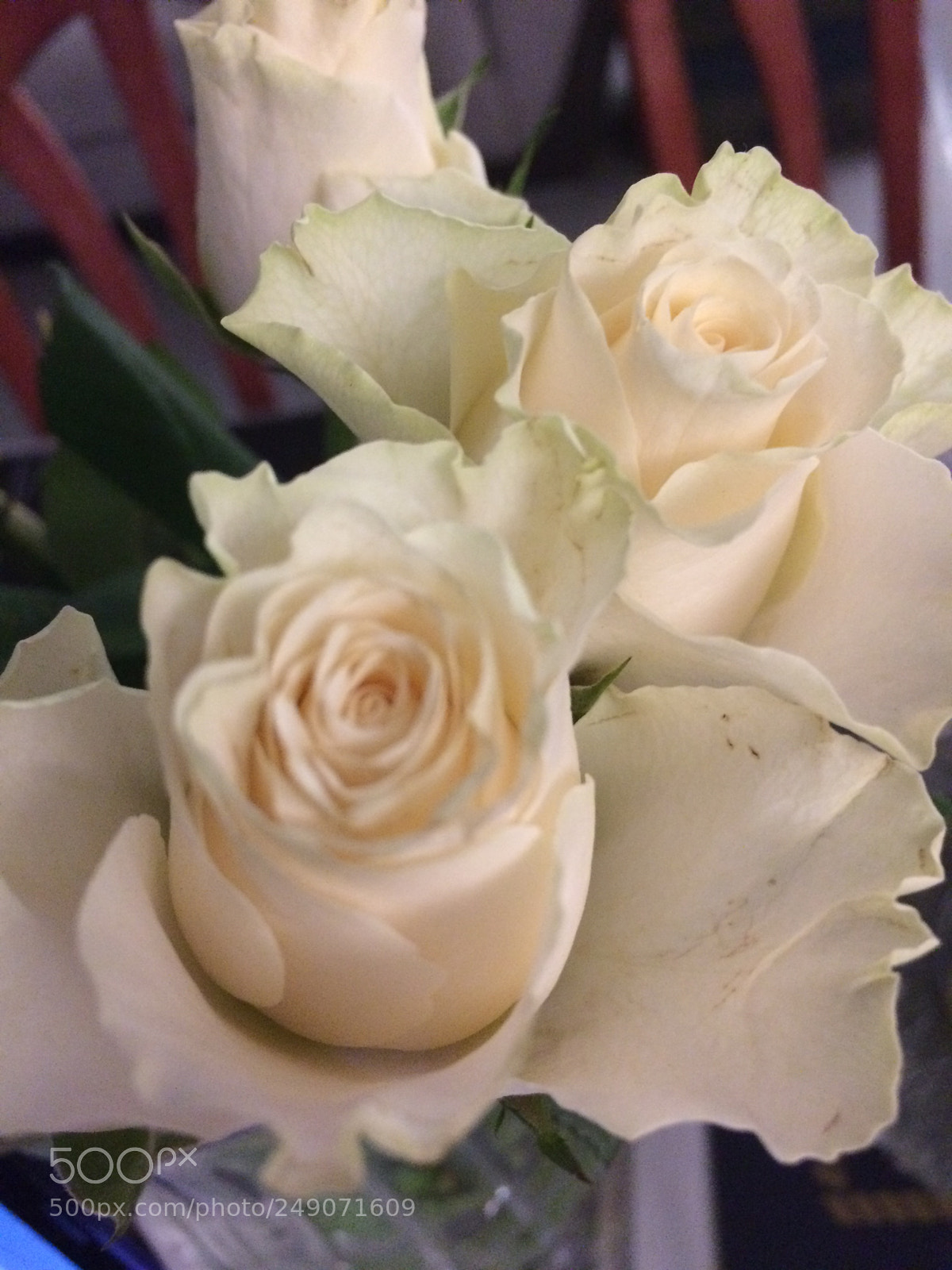 Apple iPhone 5s sample photo. Happy mother’s day! ? photography