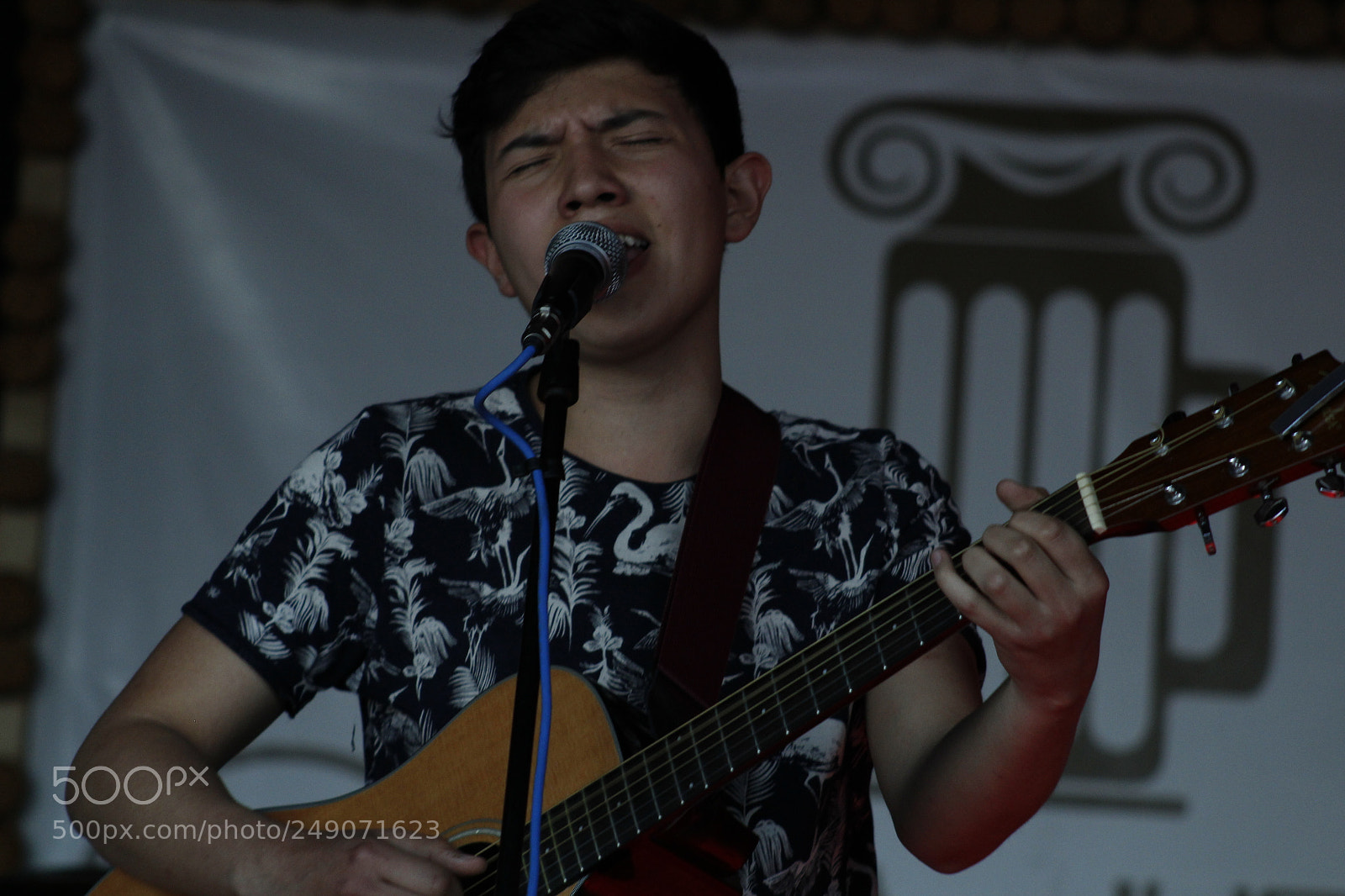Canon EF 75-300mm f/4-5.6 sample photo. Mg photography