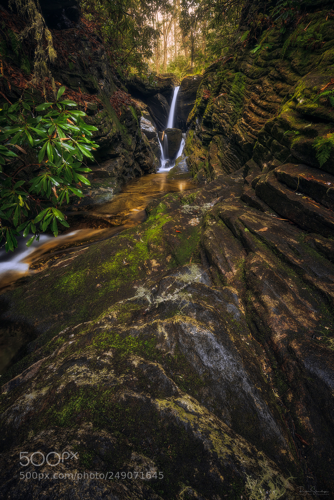 Canon EOS 5DS R sample photo. Duggers dream photography