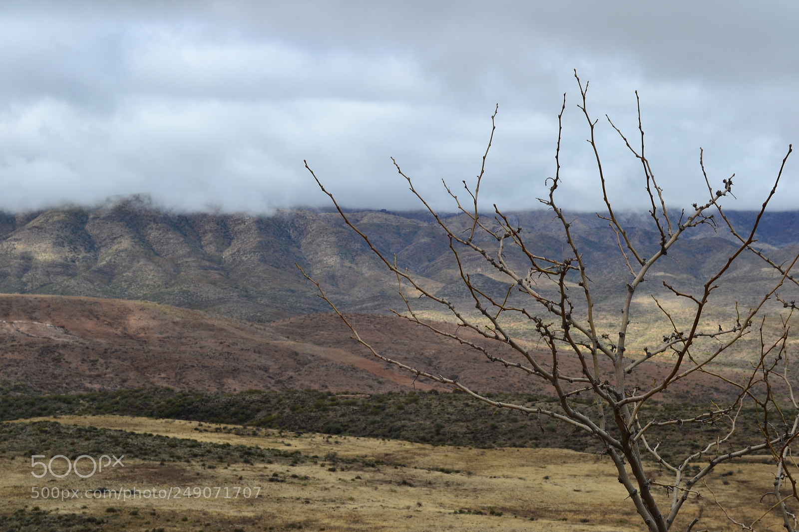 Nikon D3100 sample photo. Valley of clouds photography