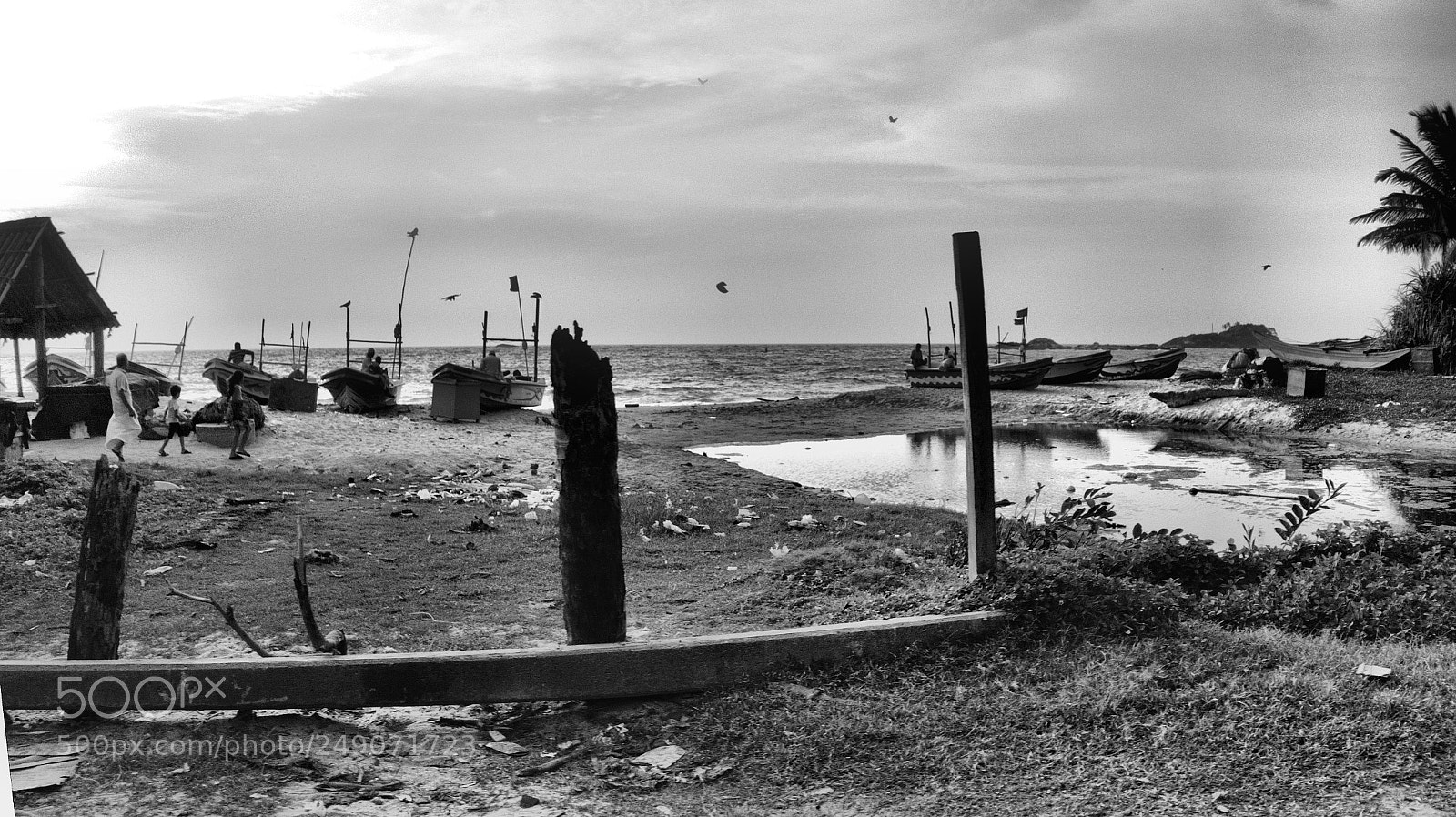 Sony Cyber-shot DSC-RX100 III sample photo. Sri lanka () photography
