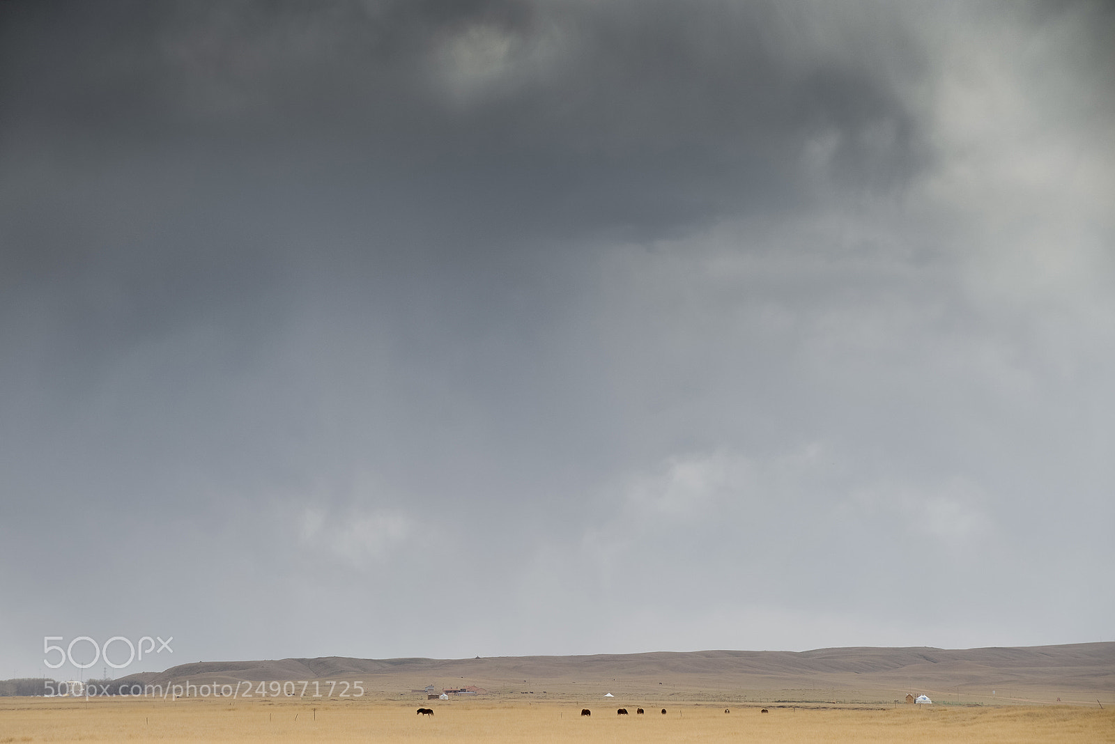 Nikon D600 sample photo. Mongolia photography