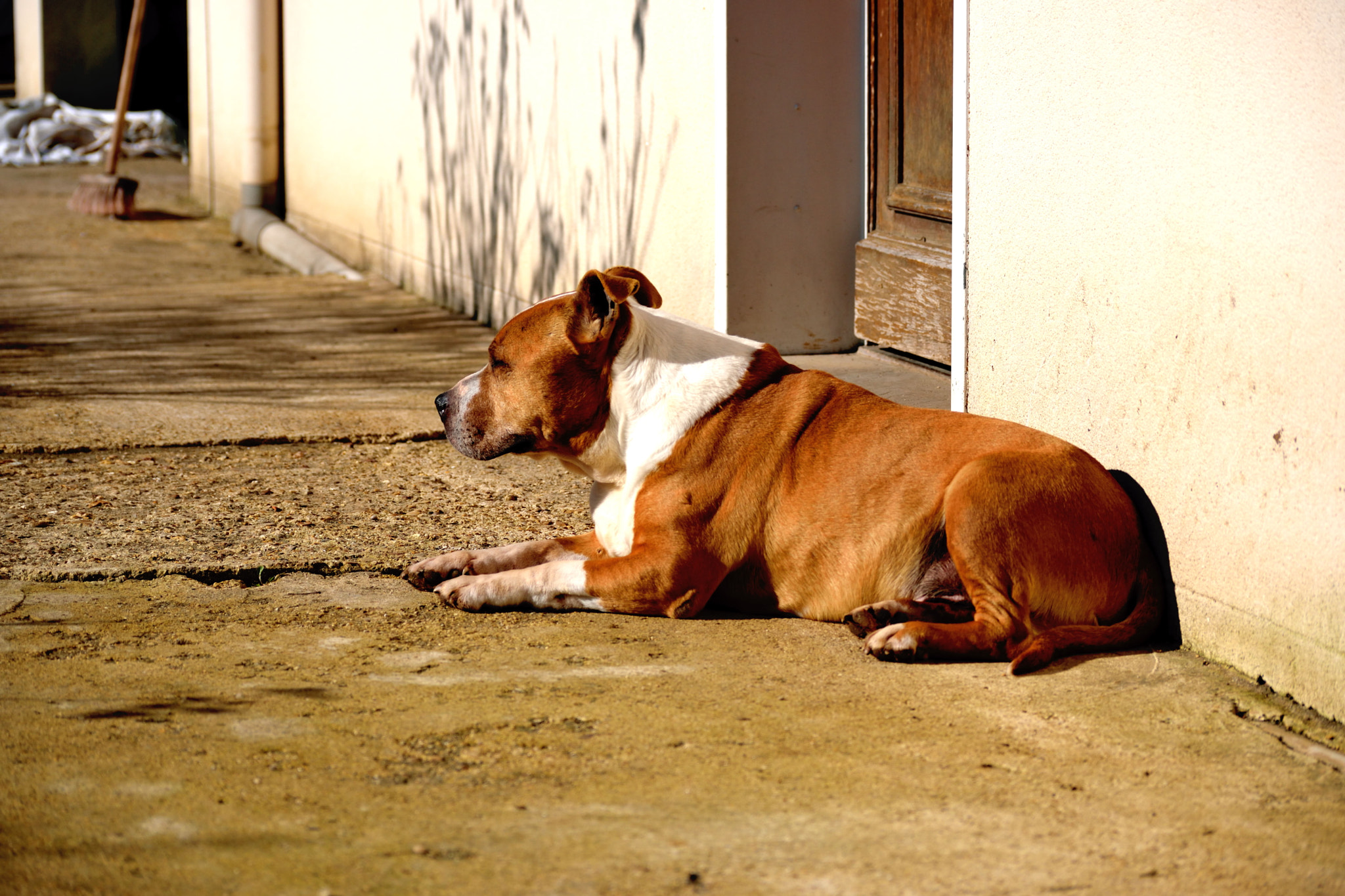 Nikon D5300 sample photo