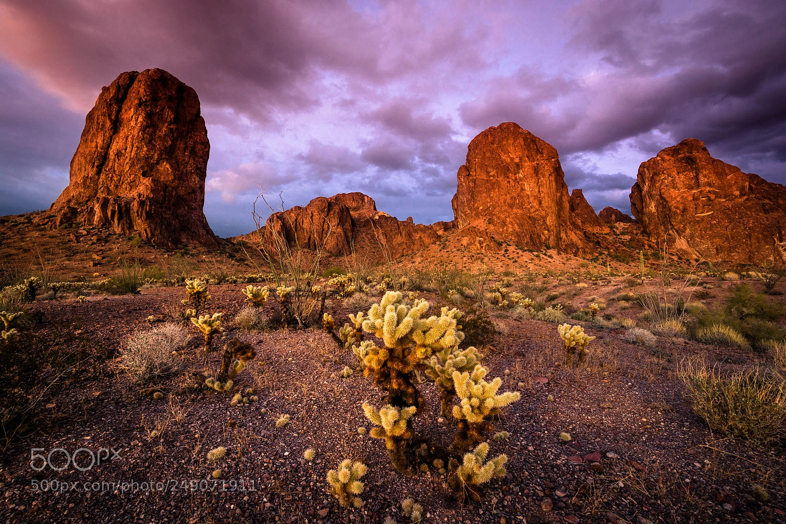 Nikon D7100 sample photo. Kofa photography