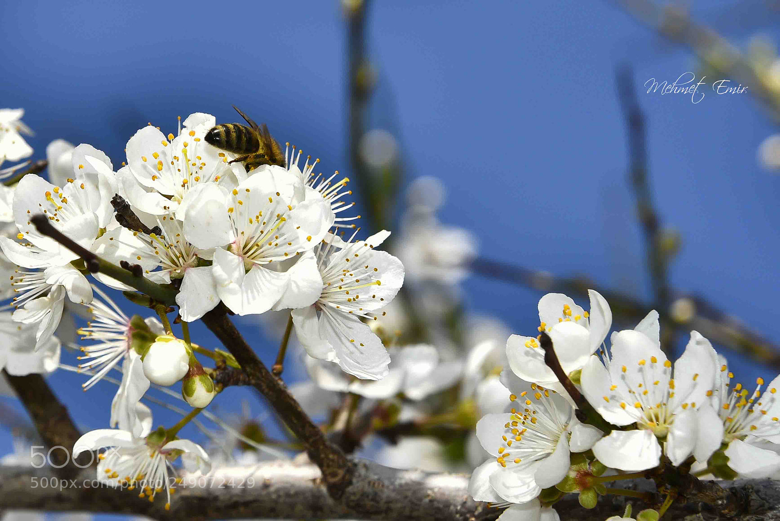 Nikon D810 sample photo. Bursa-mudanya photography