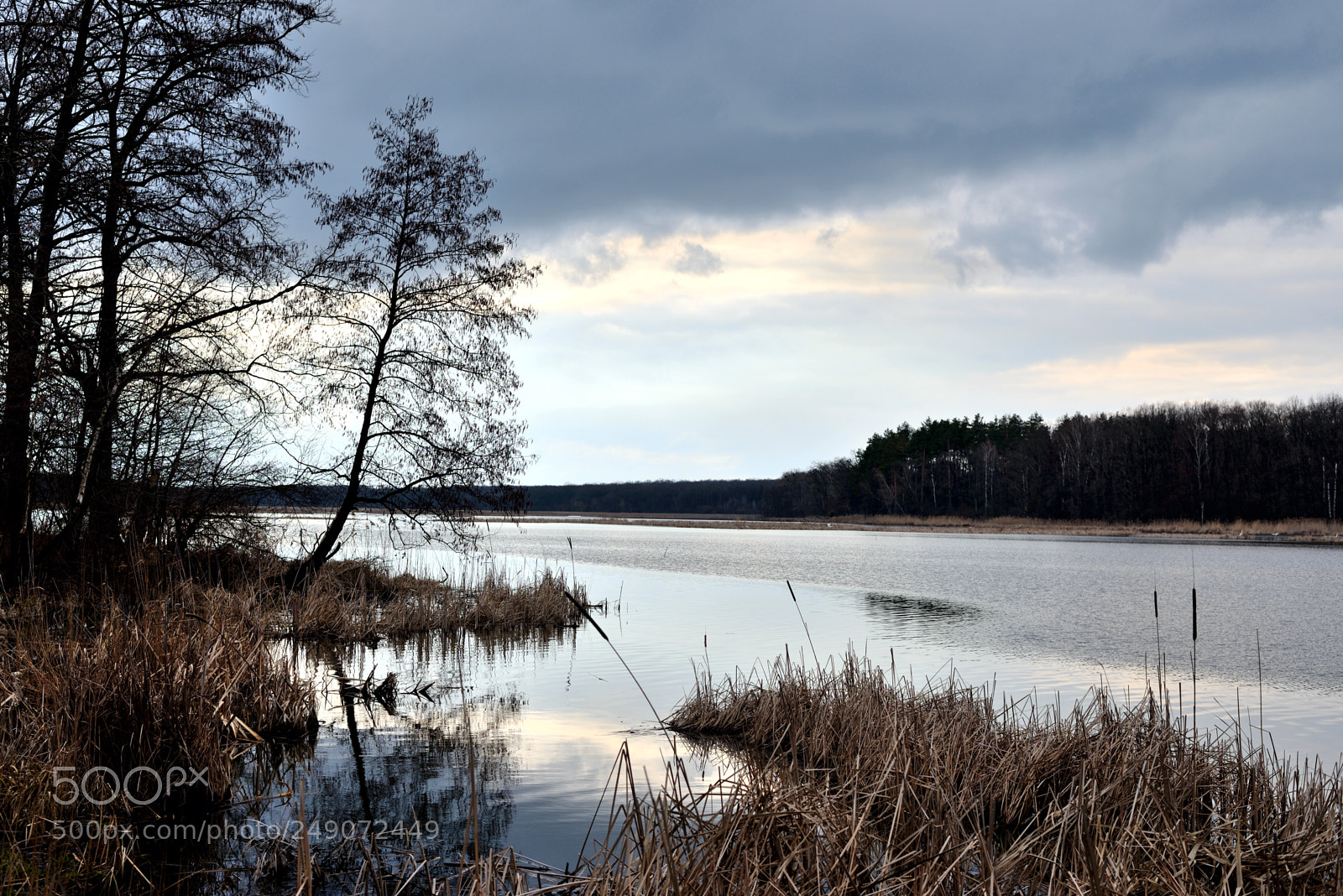 Nikon D610 sample photo. * * * photography