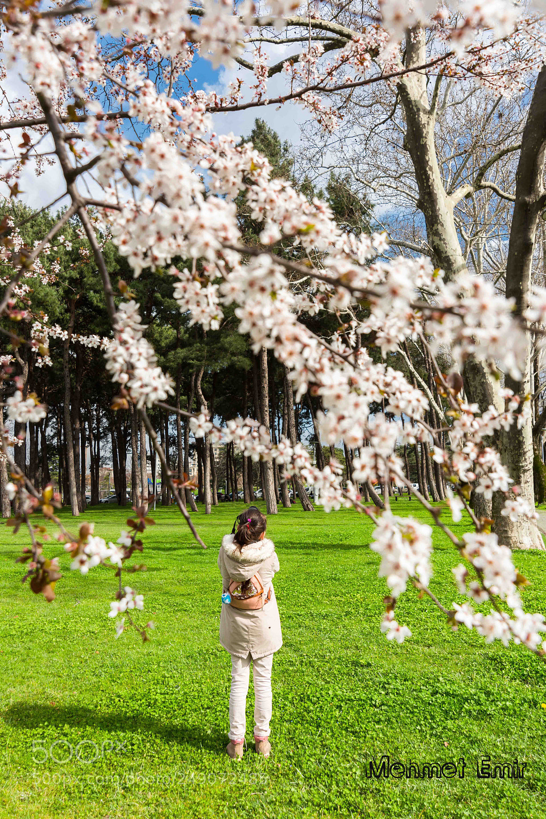 Nikon D810 sample photo. Bursa- photography