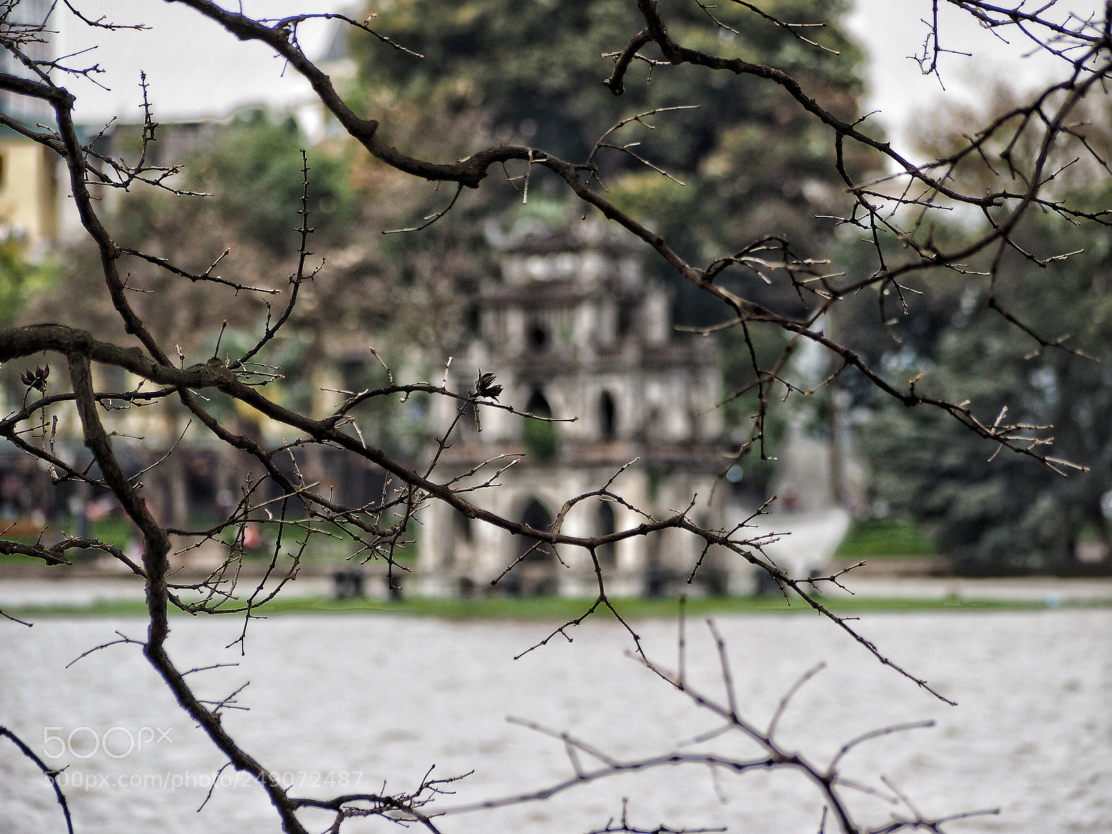 Olympus OM-D E-M1 sample photo. Untitled photography