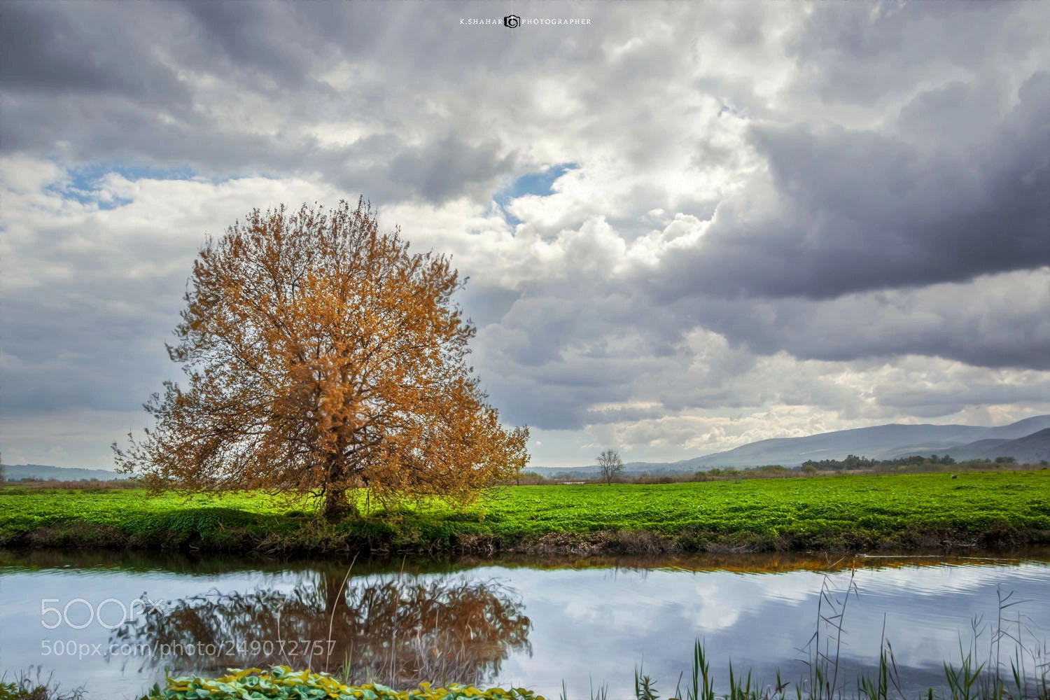 Canon EOS 7D Mark II sample photo. Man is the tree photography