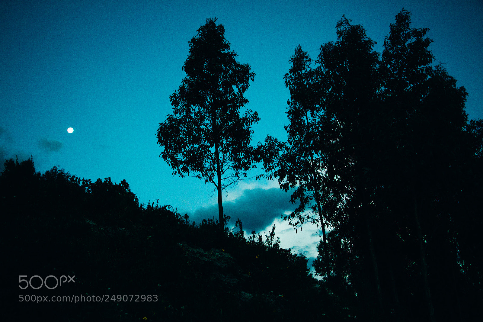 Canon EOS 50D sample photo. Nite photography