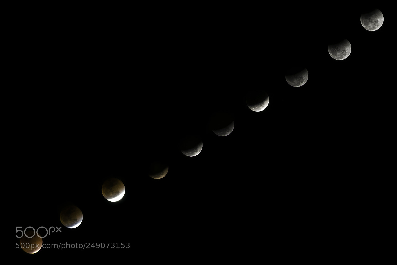Nikon D5300 sample photo. Super blue blood moon photography
