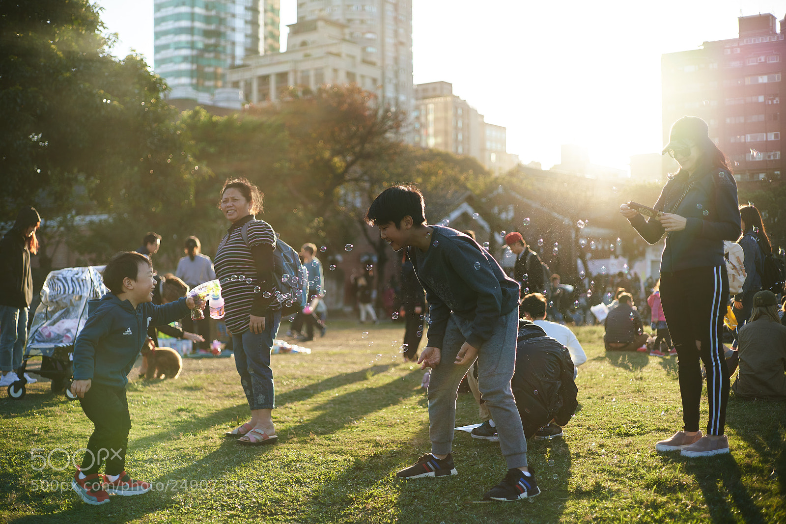 Sony a7R III sample photo. Sunshine photography