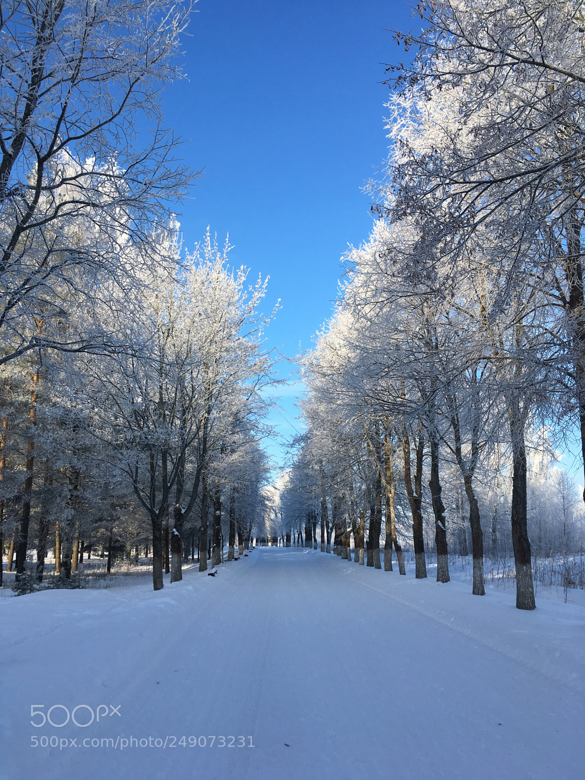 Apple iPhone SE sample photo. Winter alley photography