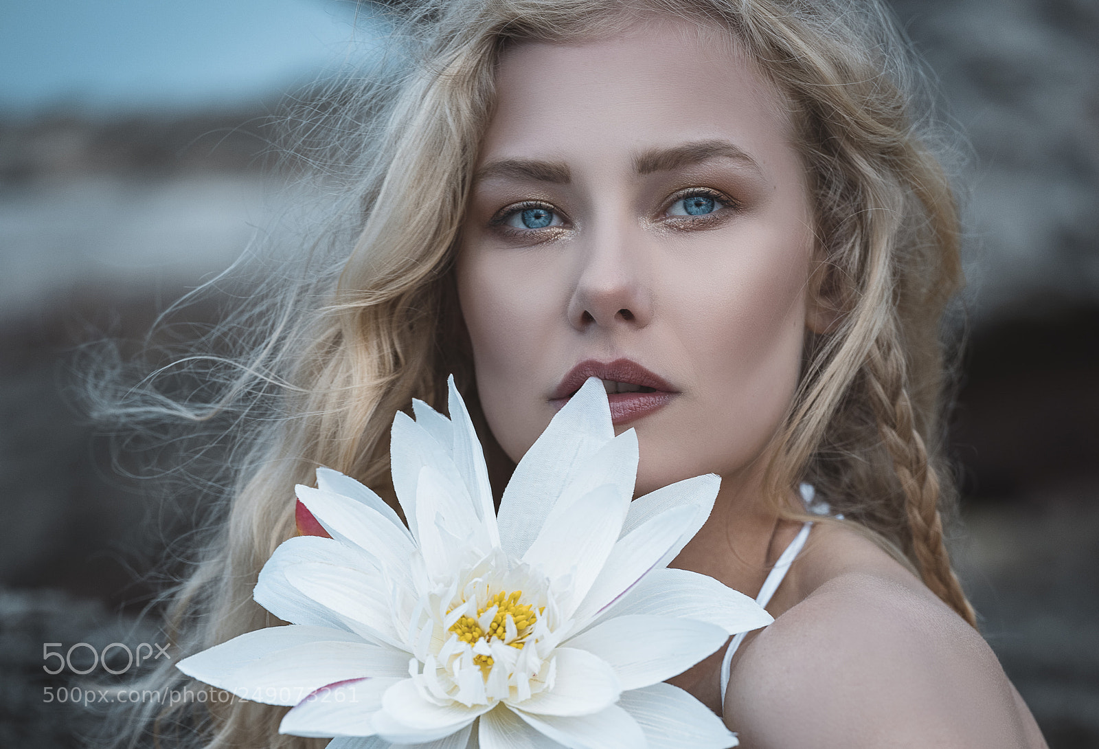 Fujifilm GFX 50S sample photo. Copy photography