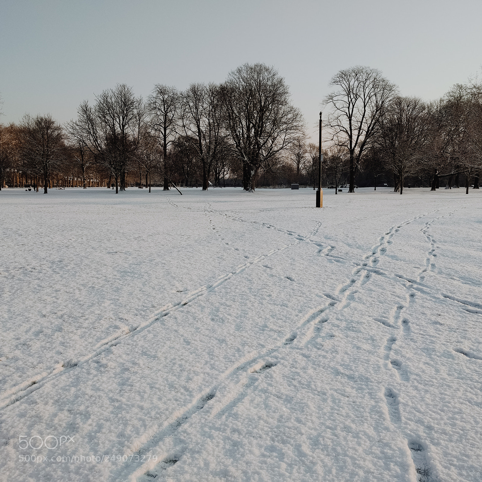 LG Nexus 5X sample photo. Morning after snow photography