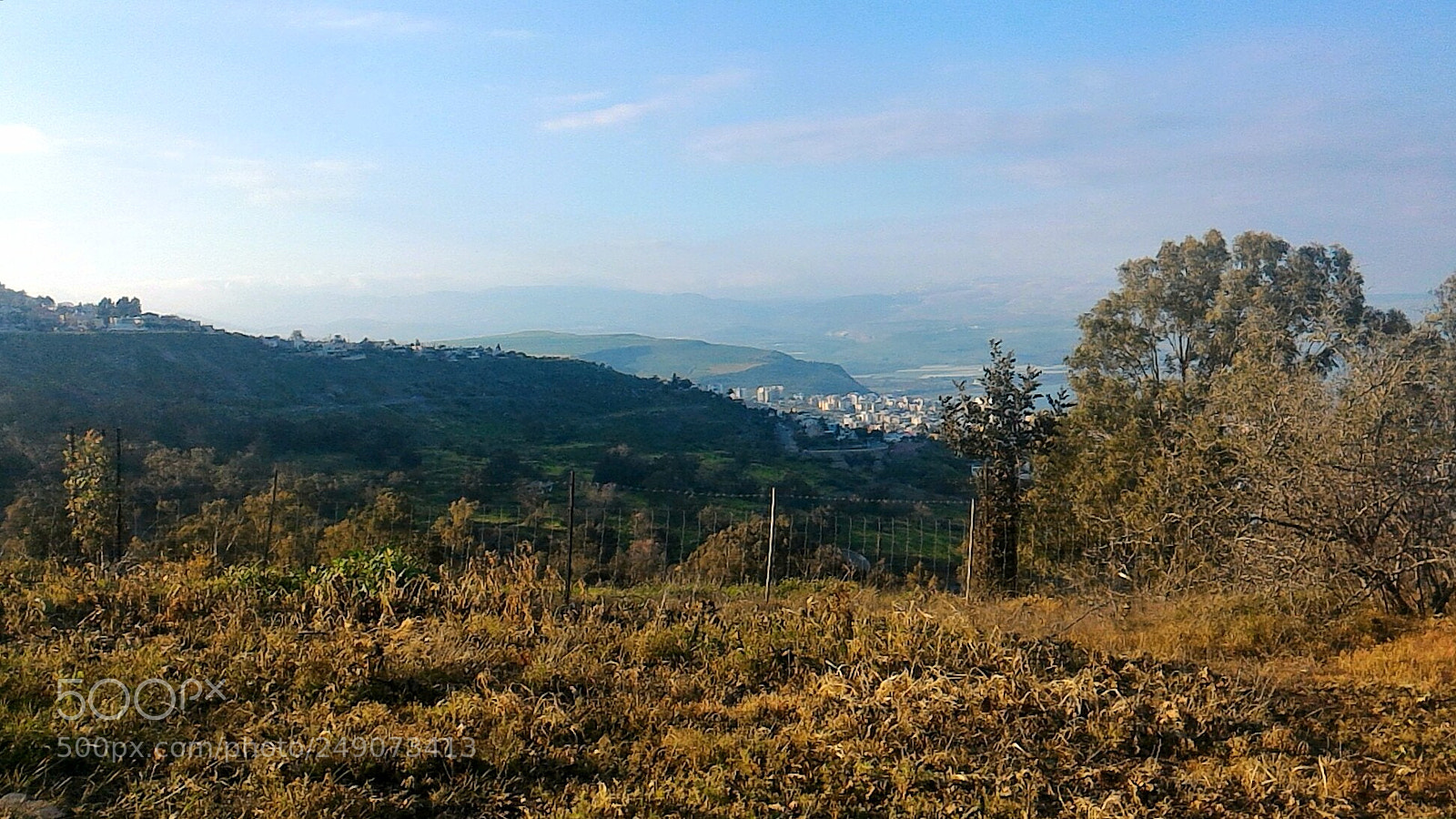 ASUS ZenFone 2 (ZE551ML) sample photo. Grassland photography